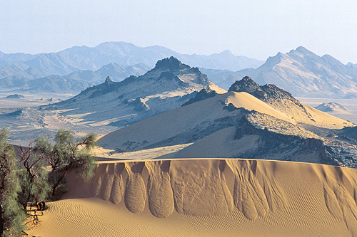 Oasis et tassili du nord des Ajjers