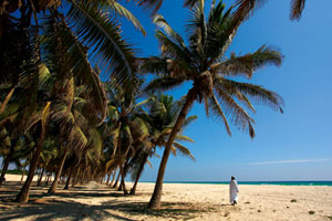 Oman, au clair de la lune + Dhofar et Salalah, la tropicale