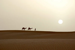 Oman, au clair de la lune / Voyage de reconnaissance