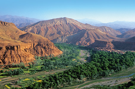 Palmeraie et gorges du Dadès