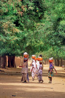 Panorama du nord Cameroun