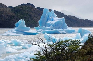 Patagonie et Cordillère de Darwin : un monde de géants !