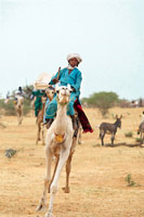 Peuples et marché du Sahel