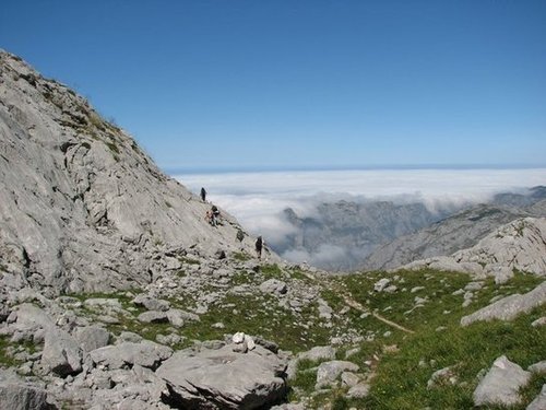 Picos de Europa