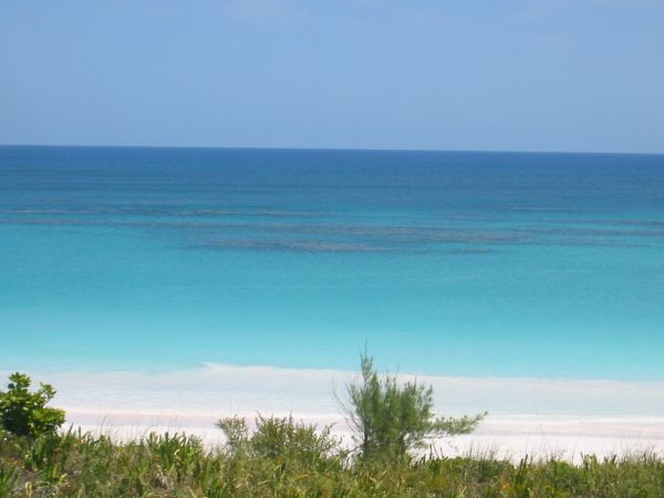 Pink Sands, plage de sable rose 