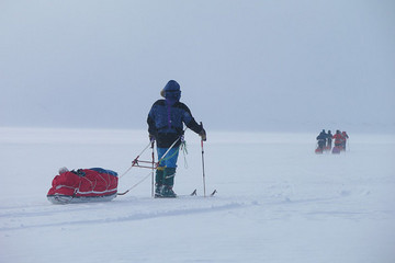 Raid en ski-pulka sur les traces de l'ours polaire