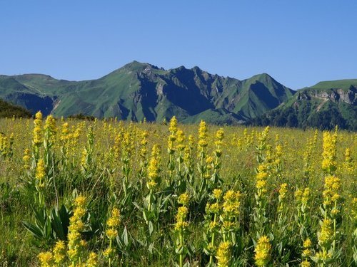 Rando forme La Bourboule, massif du Sancy