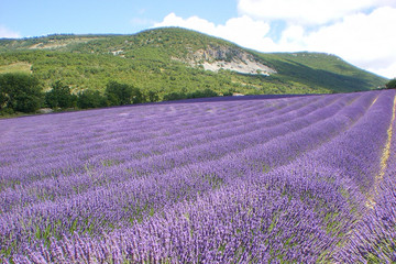 Randonnée dans les Baronnies, Grandeur Nature