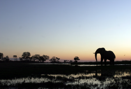 Safari au Kenya, sur les traces de Mama Daktari