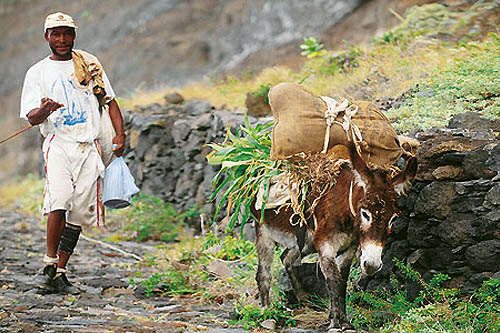 Santo Antão, les traversées de l'île - 13 jours