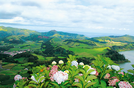 São Miguel, entre cratères et hortensias