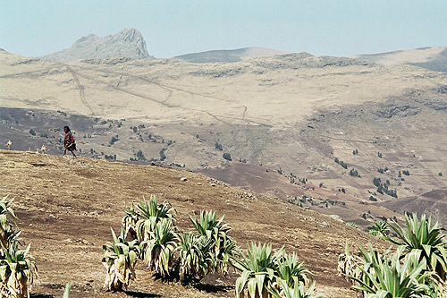 Simien et montagnes d'Abyssinie