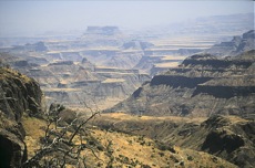 SIMIEN ET TRESORS D'ABYSSINIE