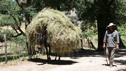 Sites antiques et côte sauvage en Khroumirie