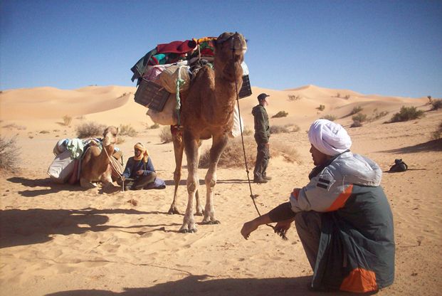 Timimoun : Un thé au Sahara