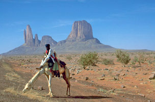 Tombouctou, éléphants et pays Dogon