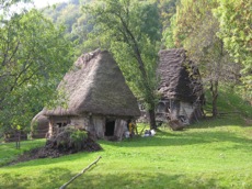 TRANSYLVANIE EN LIBERTE