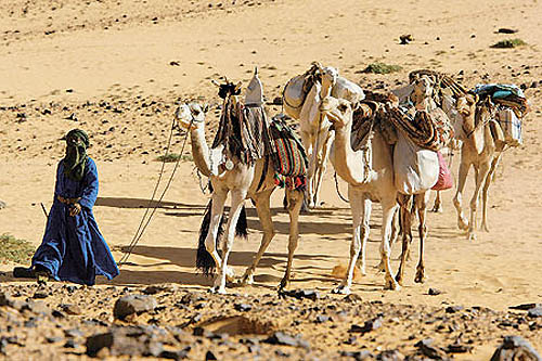 Traversée du tassili de l'Immidir