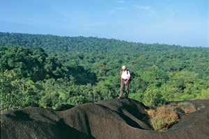 Trek en Guyane : Objectif Amazonie !