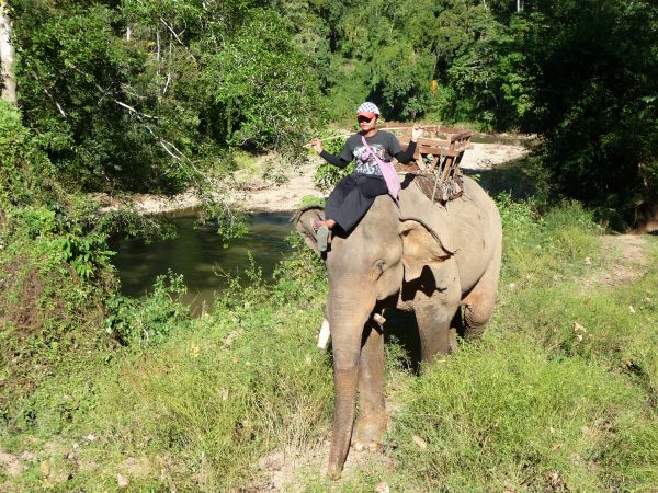 Un éléphant, ça trompe... la Thailande avec vos enfants