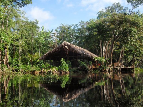 Un indien dans la jungle