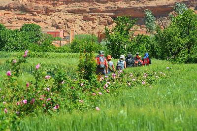 Vallée des roses et jardins de l'Atlas