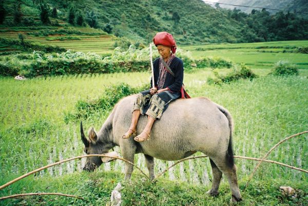 Vietnam: paysages et minorités du Haut-Tonkin